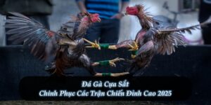 Đá Gà Cựa Sắt – Chinh Phục Các Trận Chiến Đỉnh Cao 2025
